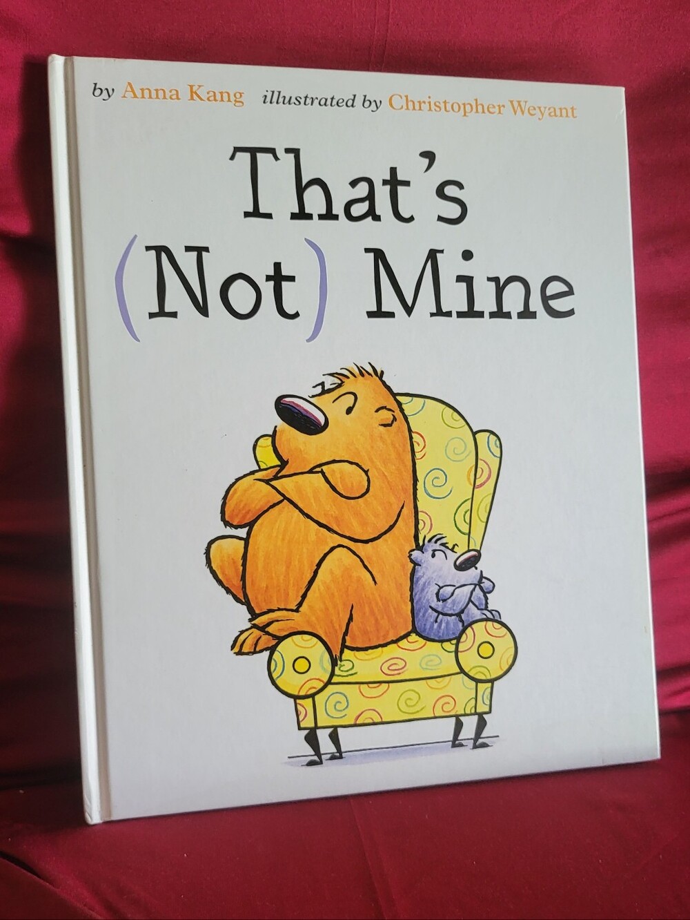 That's (Not) Mine Hardcover Children's Picture Book by Anna Kang